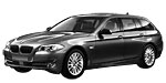 BMW F11 C20A0 Fault Code